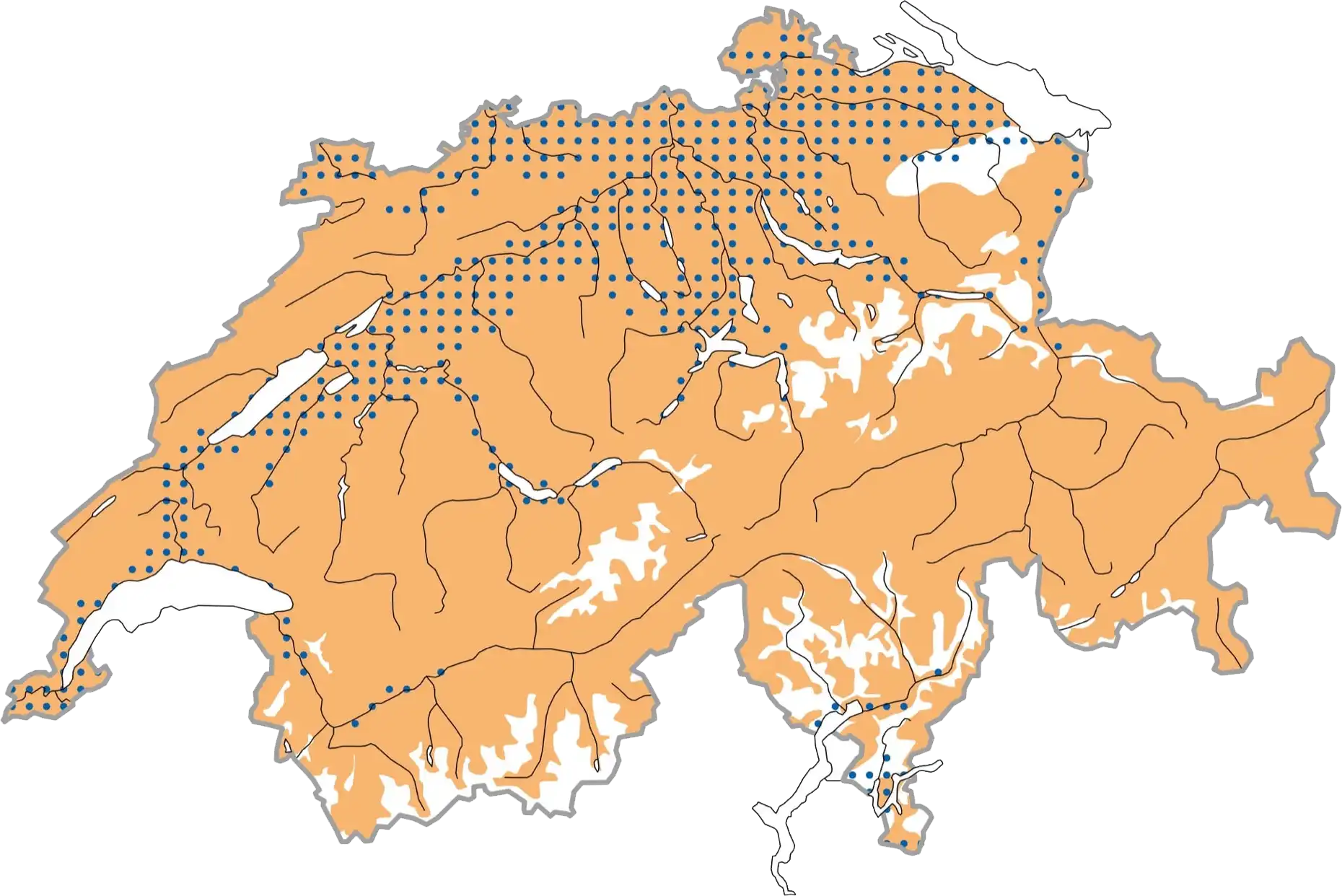 Distribuzione schematizzata durante la stagione riproduttiva (ocra), in inverno (blu punteggiato). © Stazione ornitologica svizzera Distribuzione schematizzata durante la stagione riproduttiva (ocra), in inverno (blu punteggiato). © Stazione ornitologica svizzera