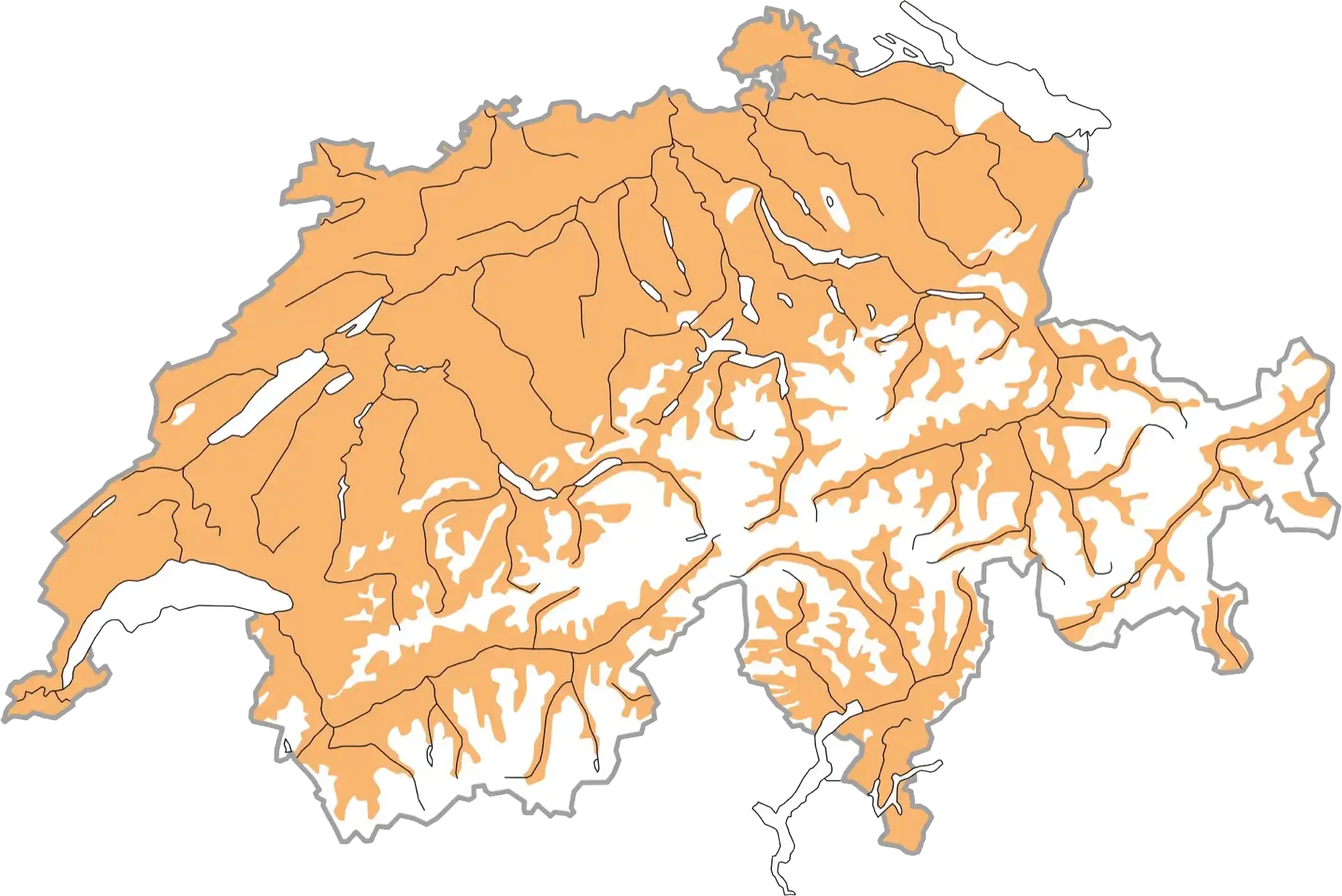 Distribuzione schematizzata durante la stagione riproduttiva (ocra). © Stazione ornitologica svizzera Distribuzione schematizzata durante la stagione riproduttiva (ocra). © Stazione ornitologica svizzera