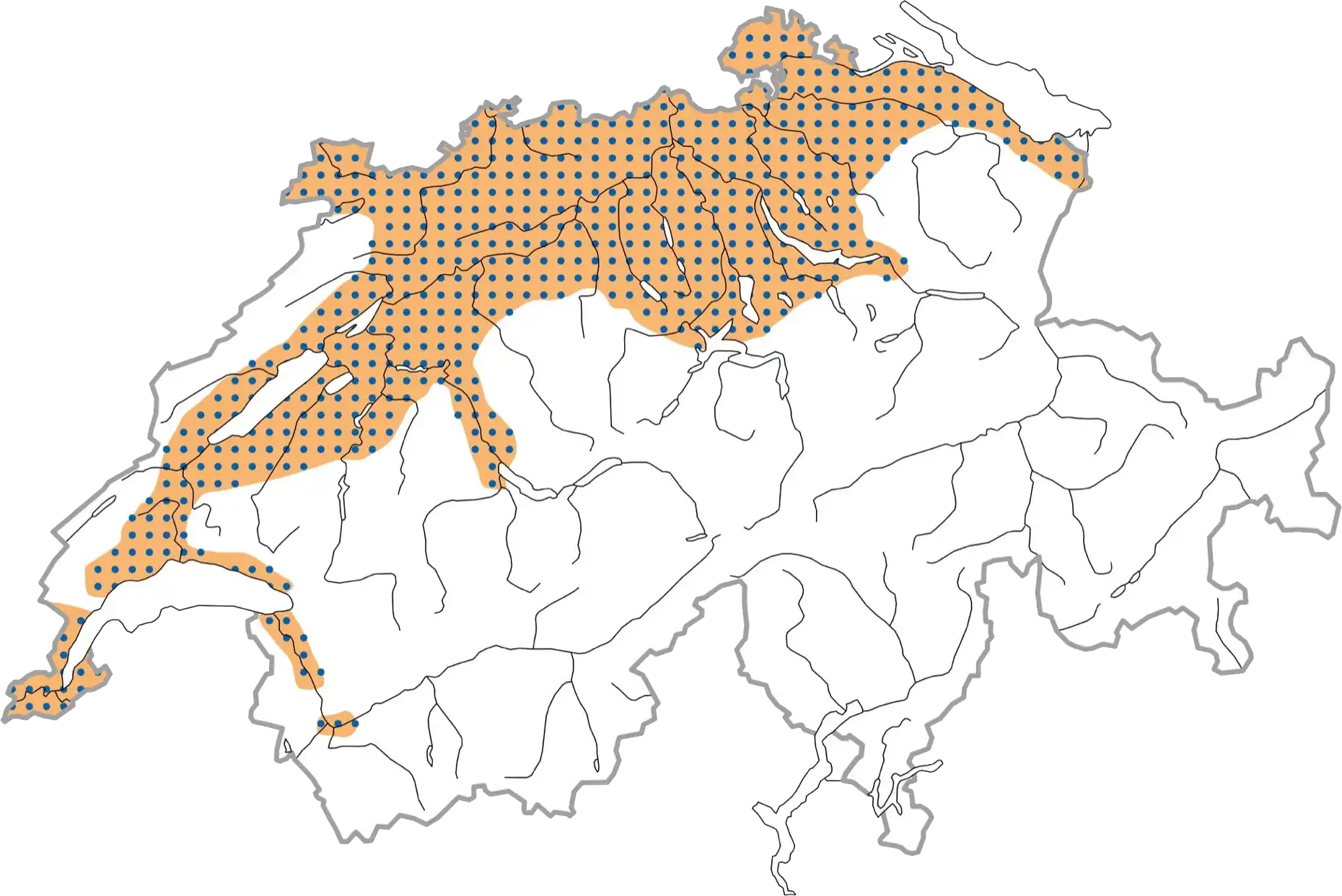 Distribuzione schematizzata durante la stagione riproduttiva (ocra), in inverno (blu punteggiato). © Stazione ornitologica svizzera Distribuzione schematizzata durante la stagione riproduttiva (ocra), in inverno (blu punteggiato). © Stazione ornitologica svizzera