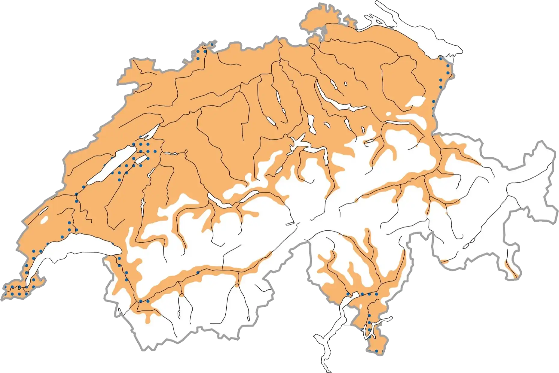 Distribuzione schematizzata durante la stagione riproduttiva (ocra), in inverno (blu punteggiato). © Stazione ornitologica svizzera Distribuzione schematizzata durante la stagione riproduttiva (ocra), in inverno (blu punteggiato). © Stazione ornitologica svizzera