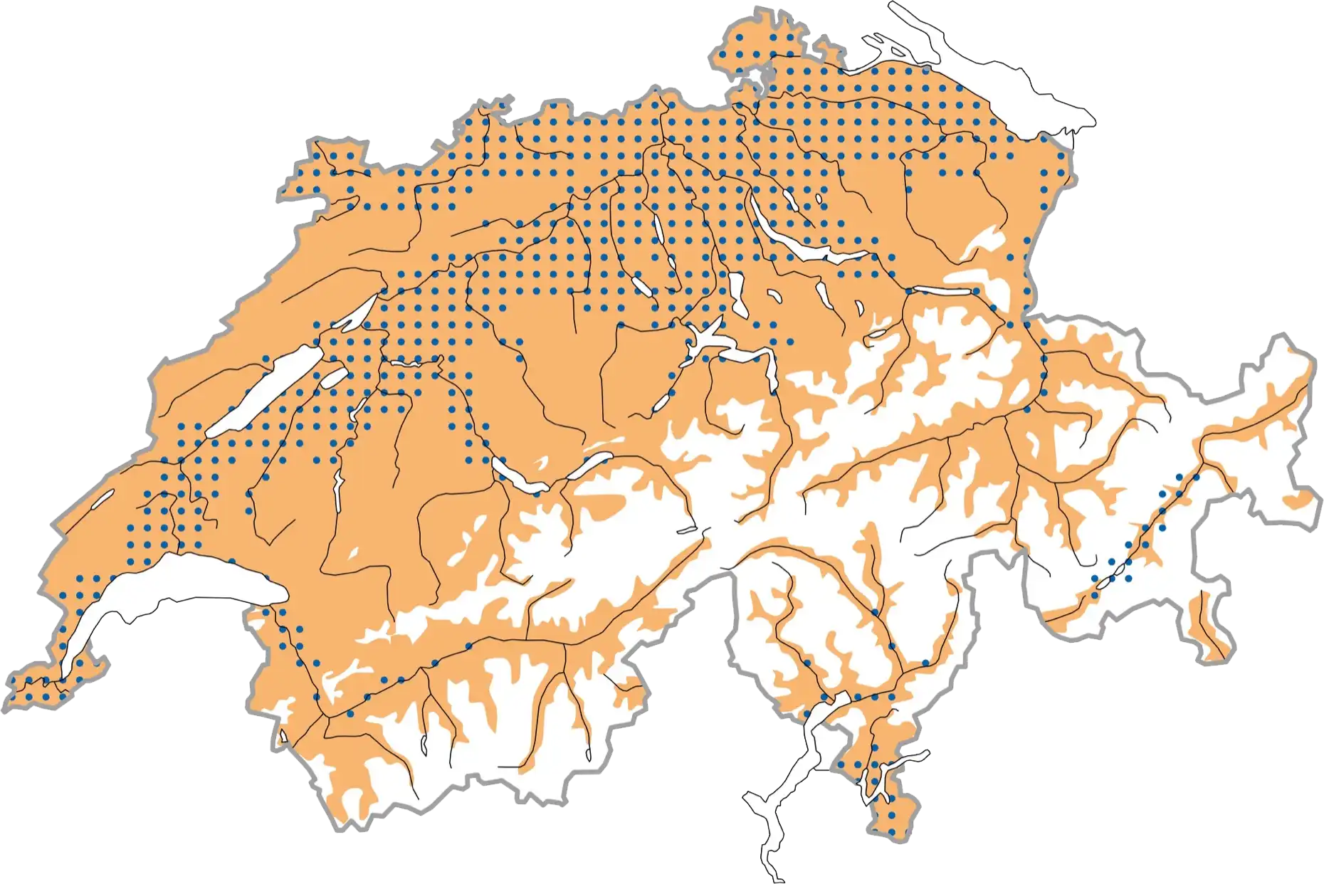 Distribuzione schematizzata durante la stagione riproduttiva (ocra), in inverno (blu punteggiato). © Stazione ornitologica svizzera Distribuzione schematizzata durante la stagione riproduttiva (ocra), in inverno (blu punteggiato). © Stazione ornitologica svizzera