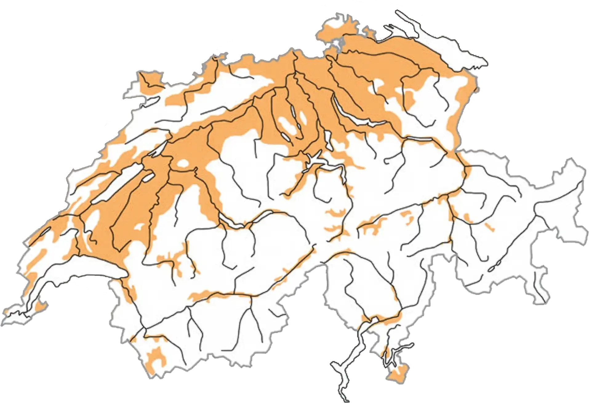 Distribuzione schematizzata durante la stagione riproduttiva (ocra). © Stazione ornitologica svizzera Distribuzione schematizzata durante la stagione riproduttiva (ocra). © Stazione ornitologica svizzera