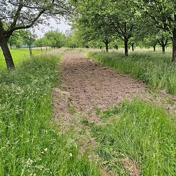 Zone di suolo scoperto