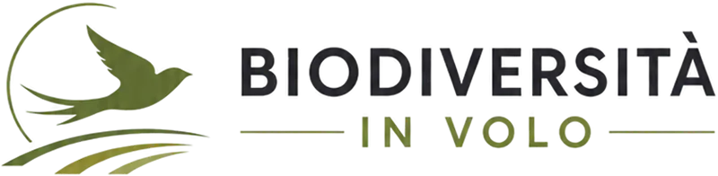 Biodiversität im Flug